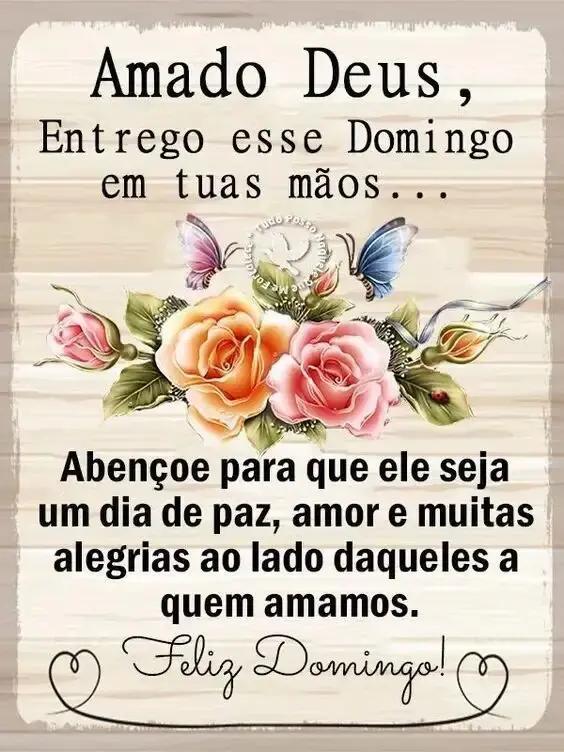 @José carlos