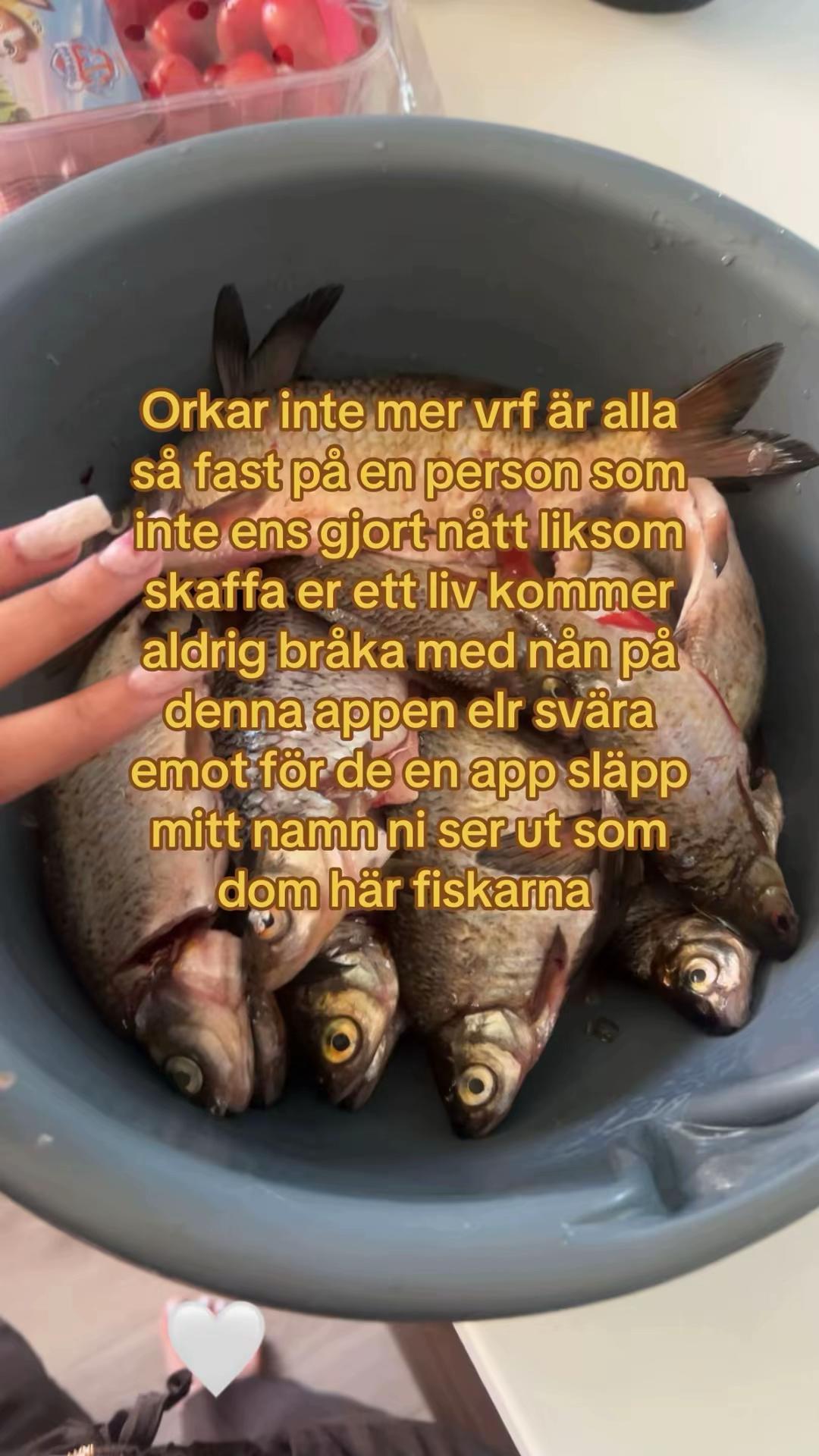 @❦𓆉