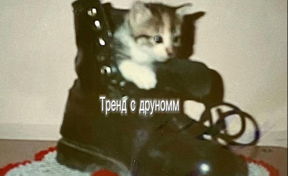 @♬︎𝓑ᥱⳅ𐔏𐔖᥈𐔖ⲃыύ𝕸ρ𐔤ᥒ🗡️𝕜☠︎︎