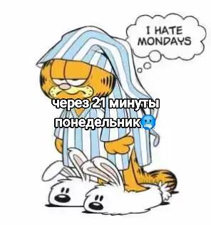 @sekirew