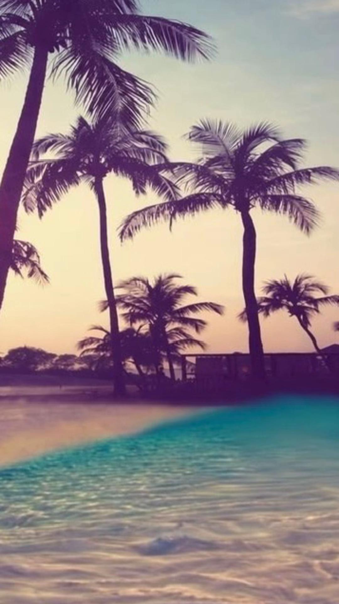 @izᥫ᭡