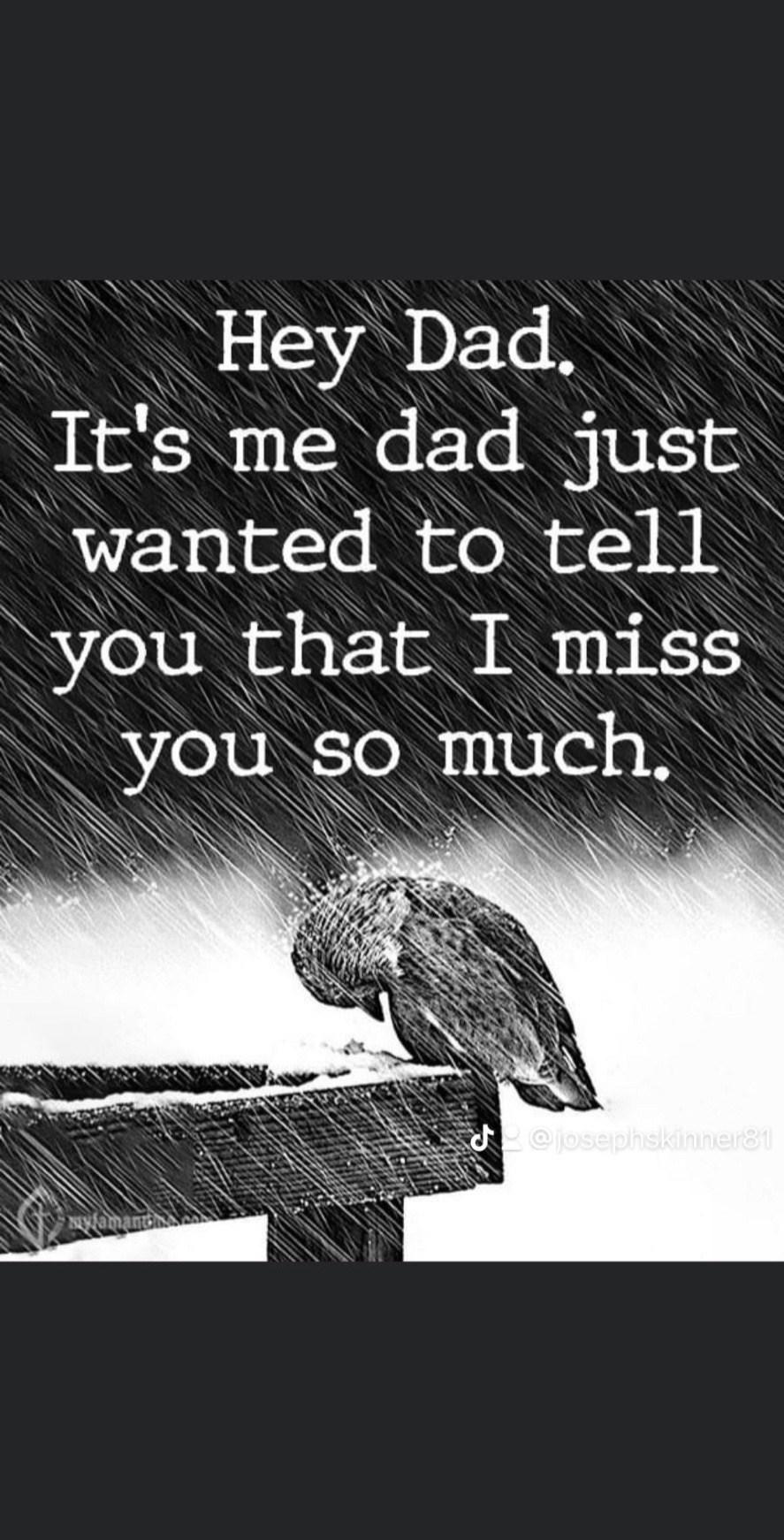 @josephtno81