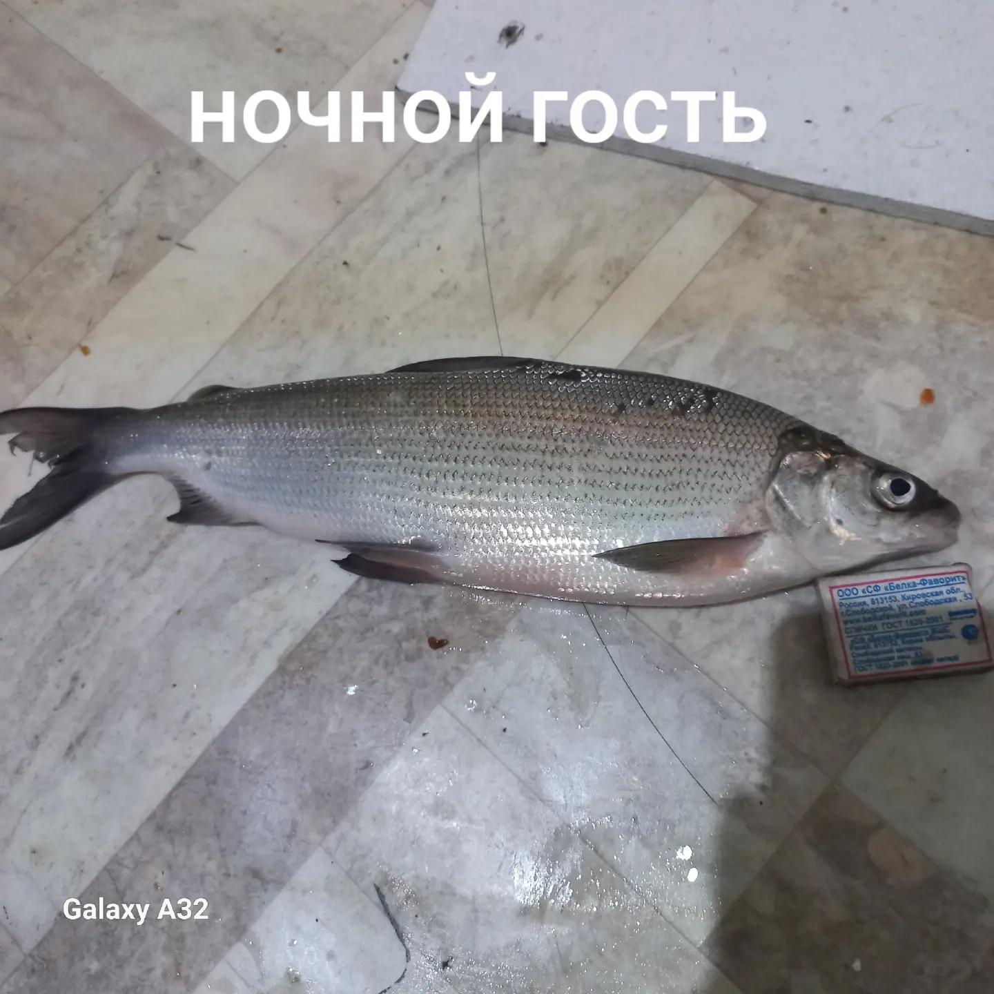 @Дмитрий.Кульков.97 .