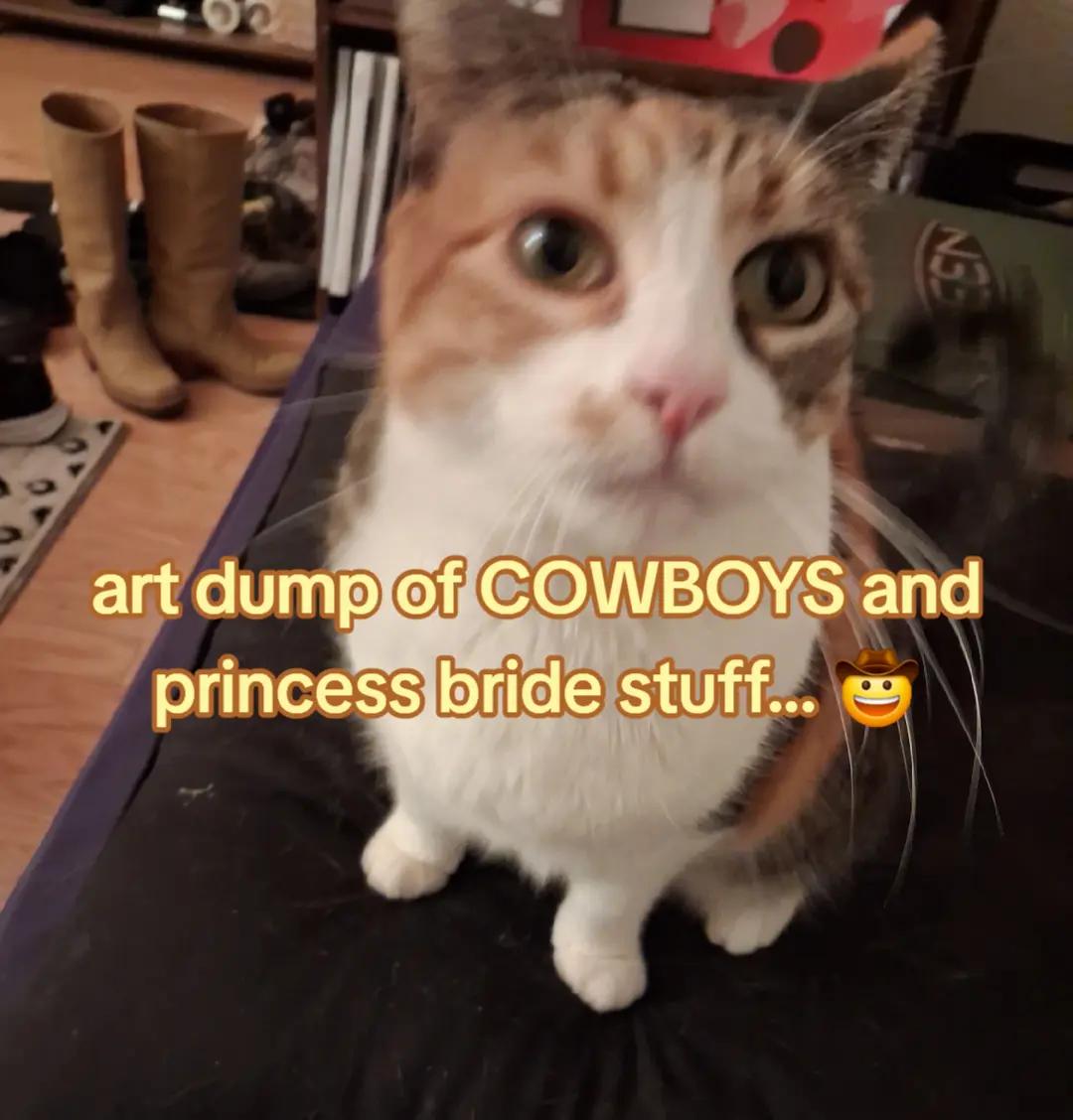 @Dimitri ๐๐ชฝ