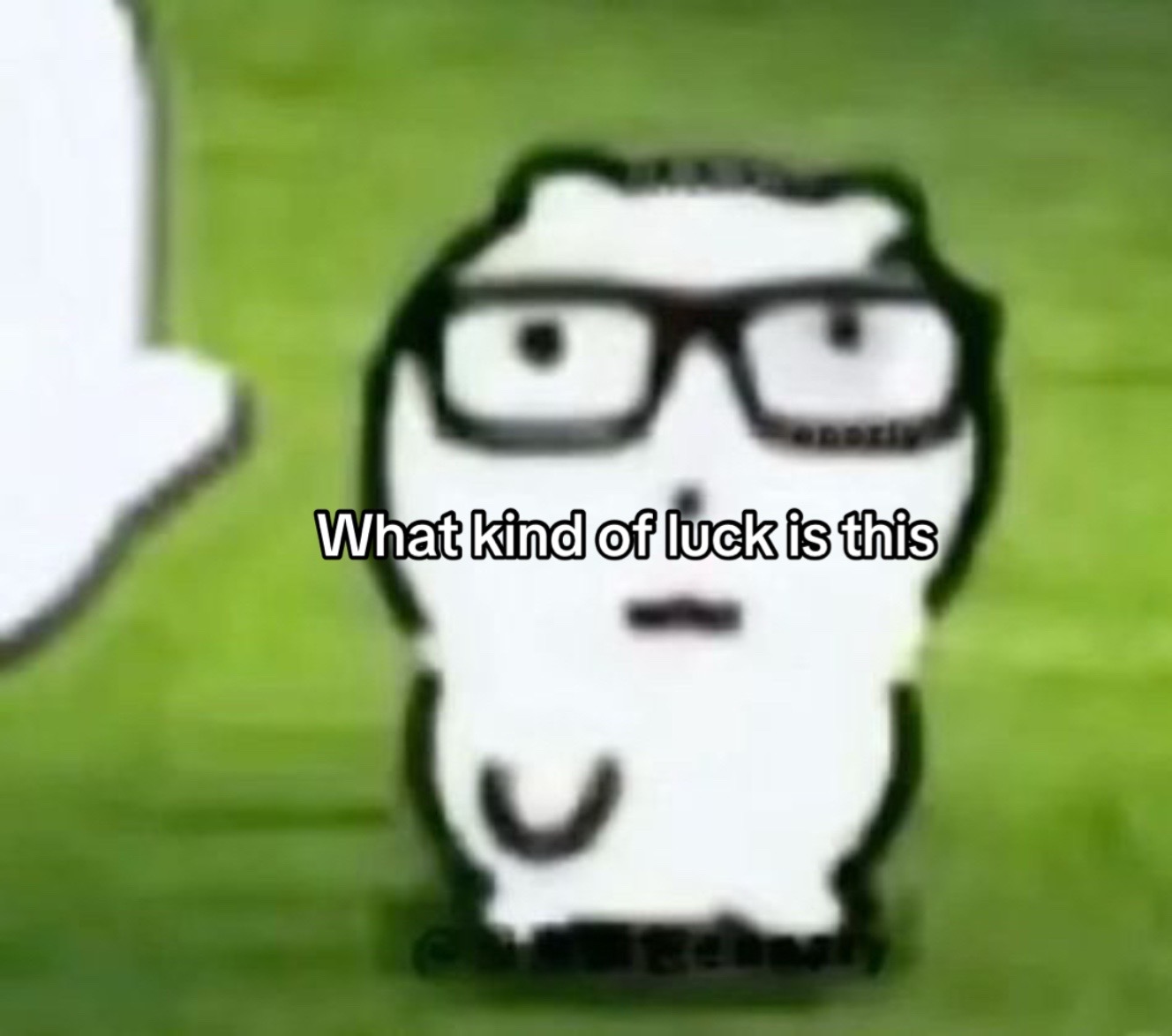 @shrimpyy <3
