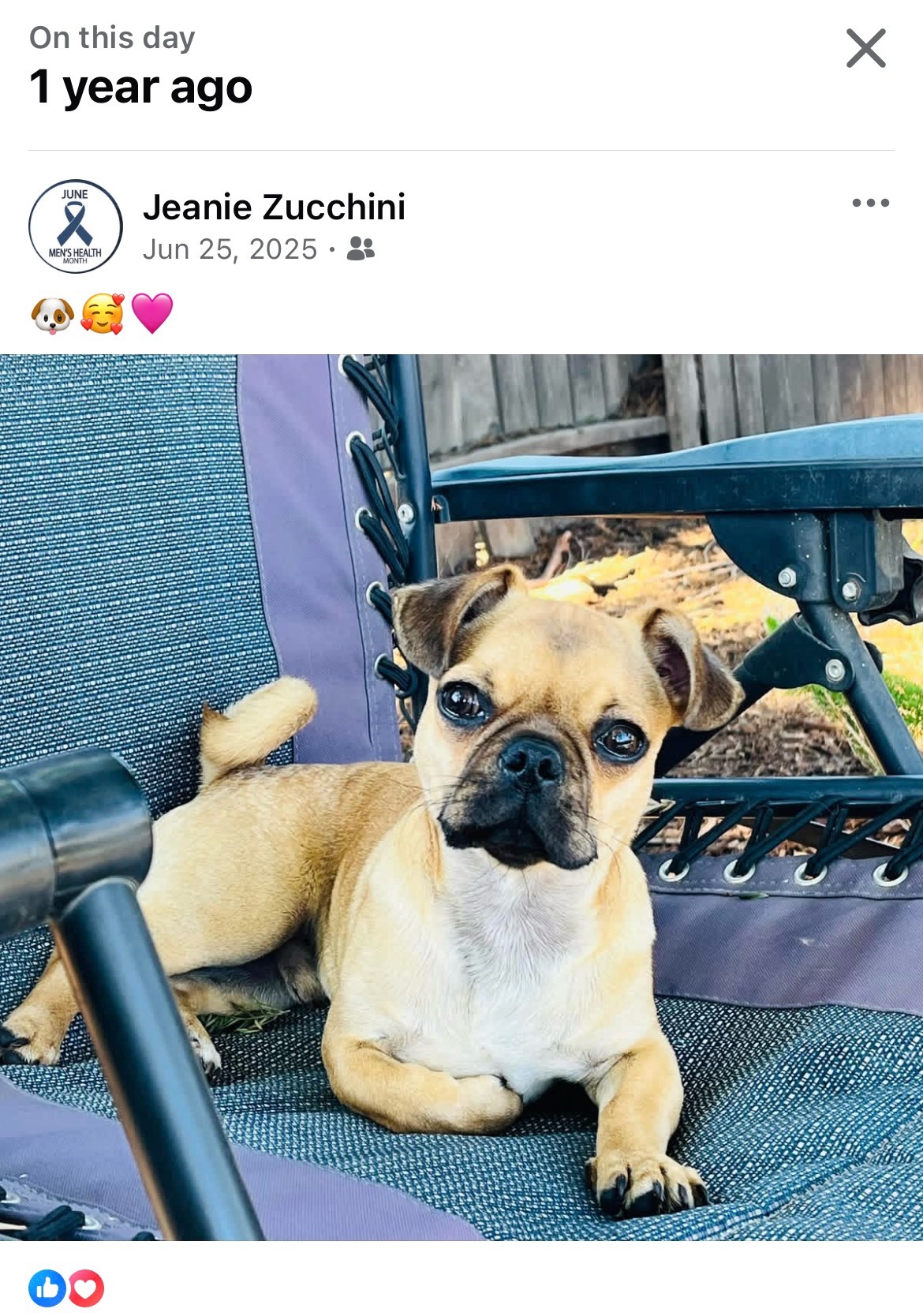 @MeanieJeanie
