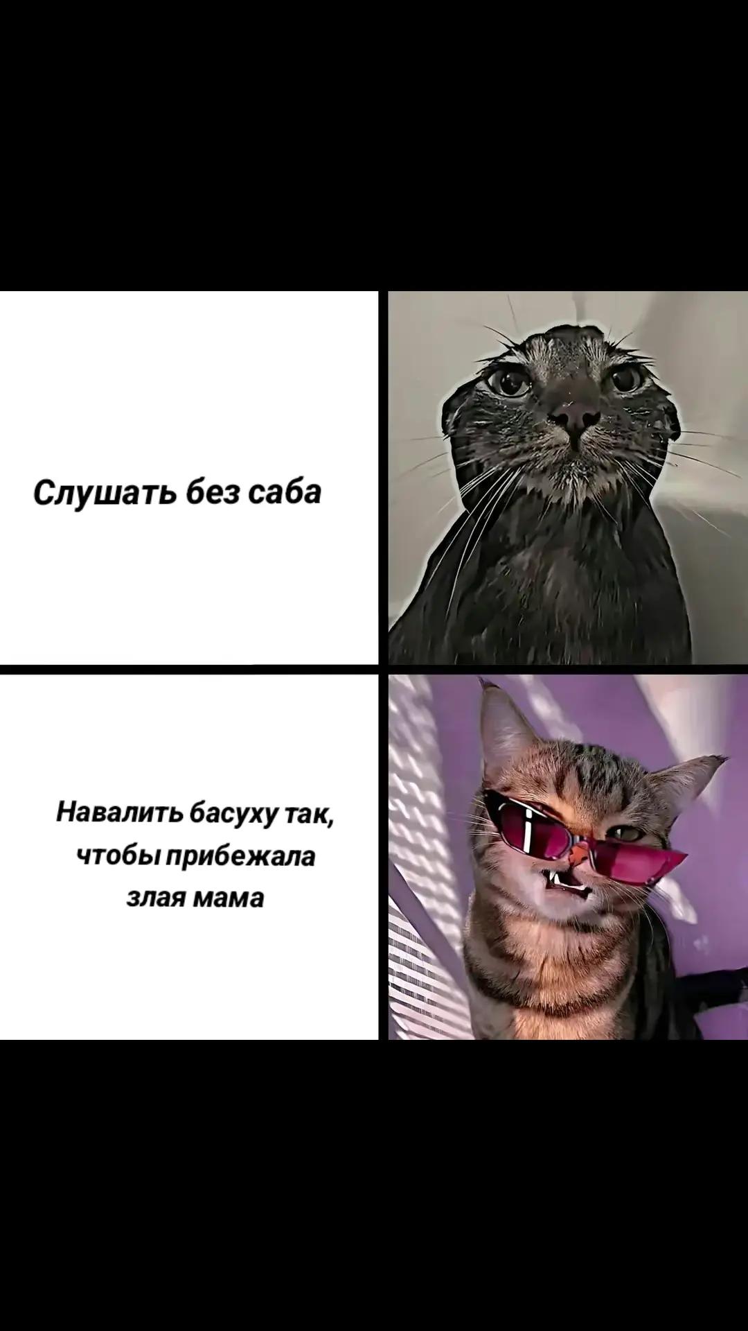 @💥bass_home_57💥