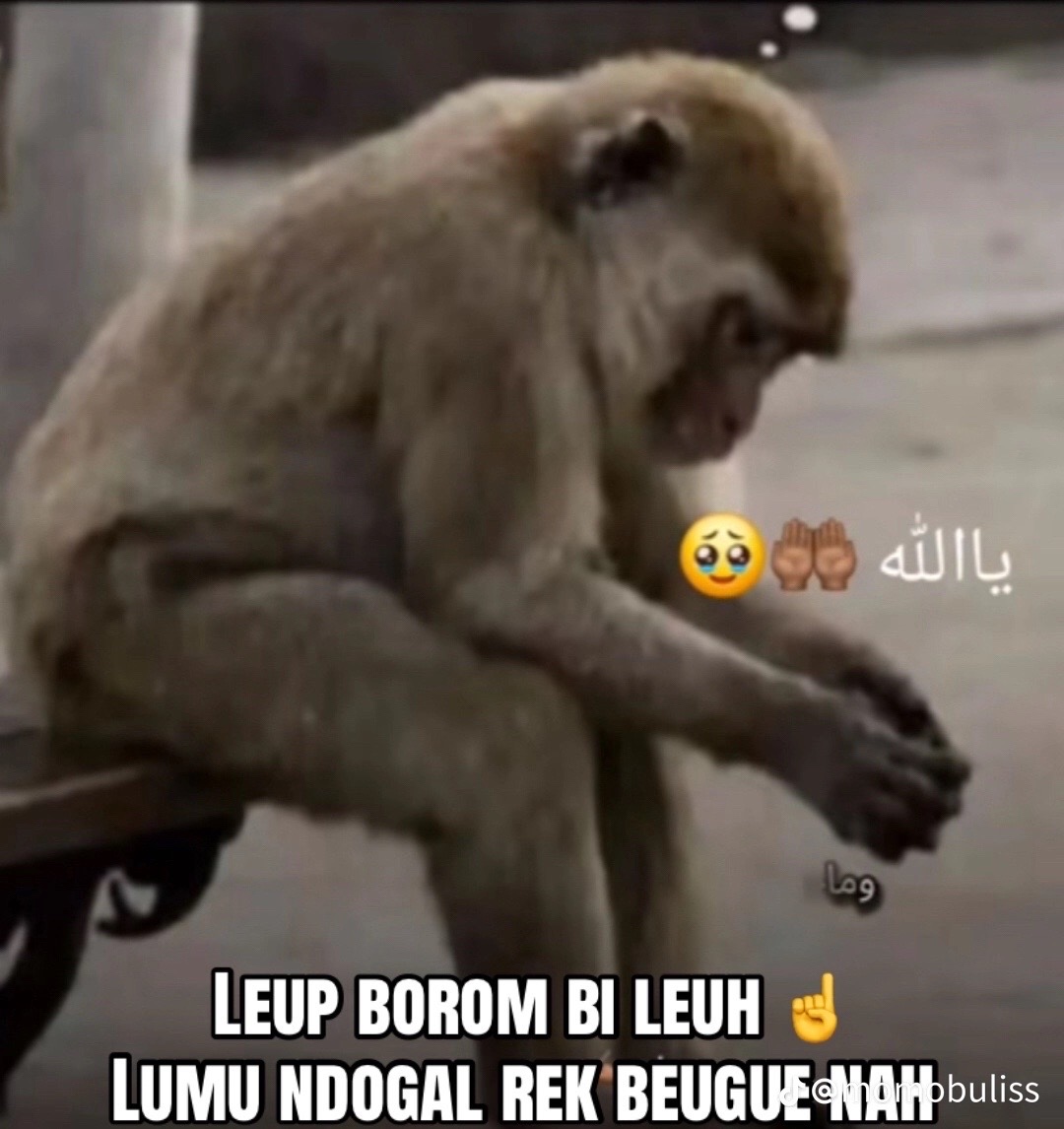 @baydjiilycissw