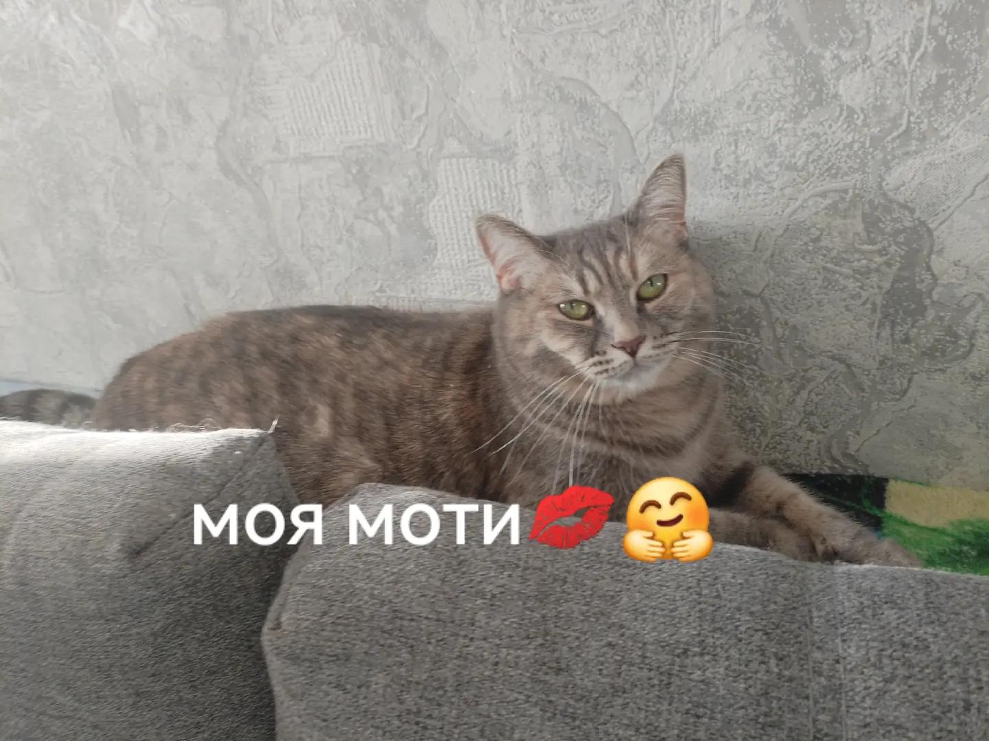 @((АНЮТА71))ТУЛА