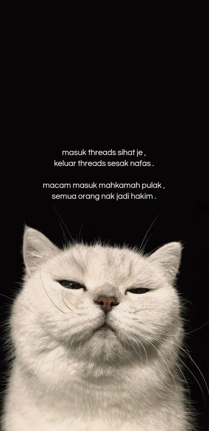 @cikreens