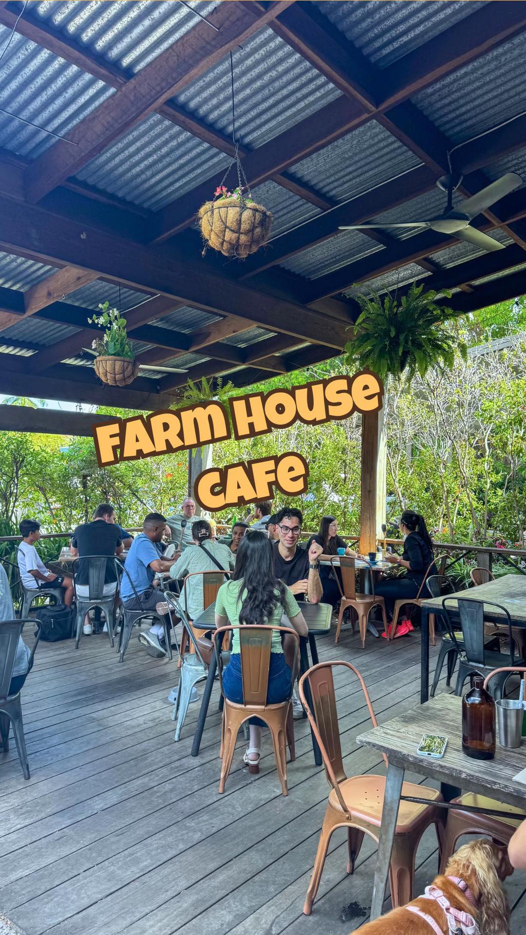 @Brisbane Dog Friendly