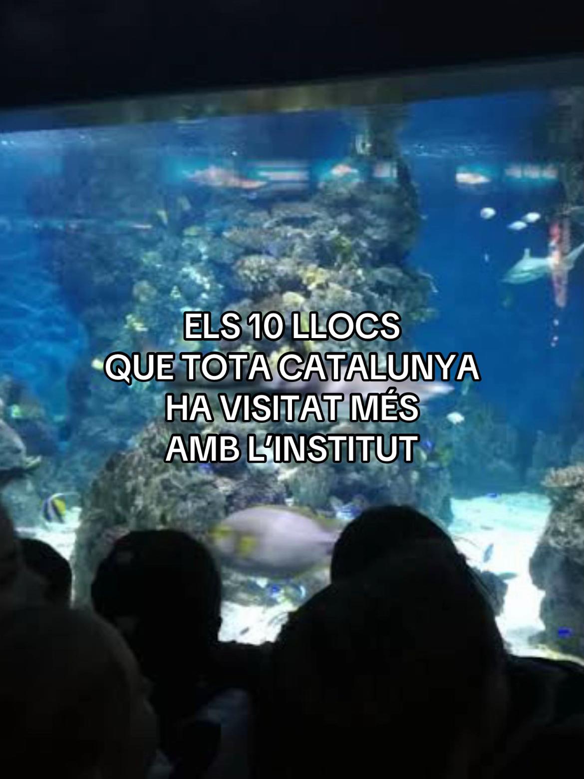 @kaspites