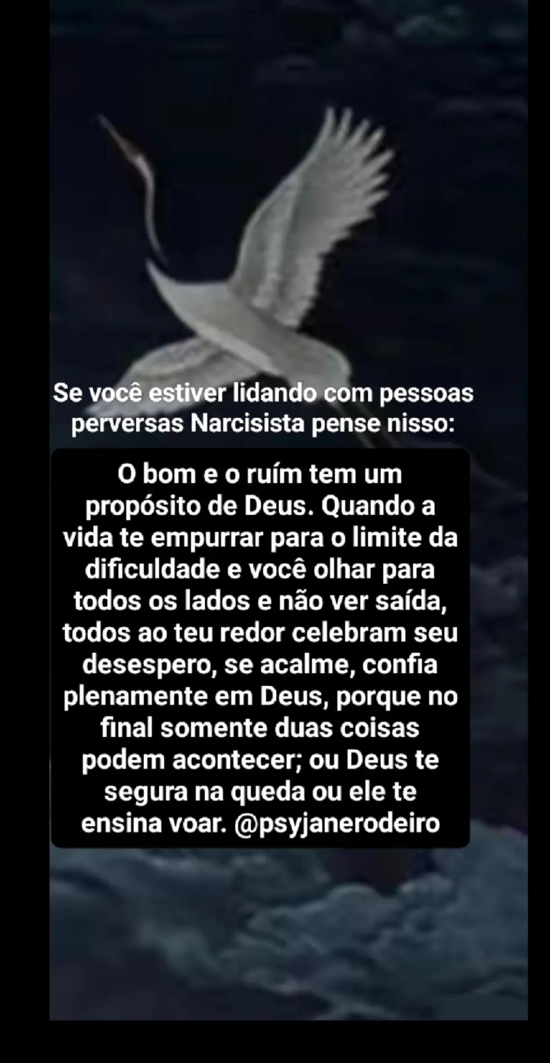 @Jane Rodeiro