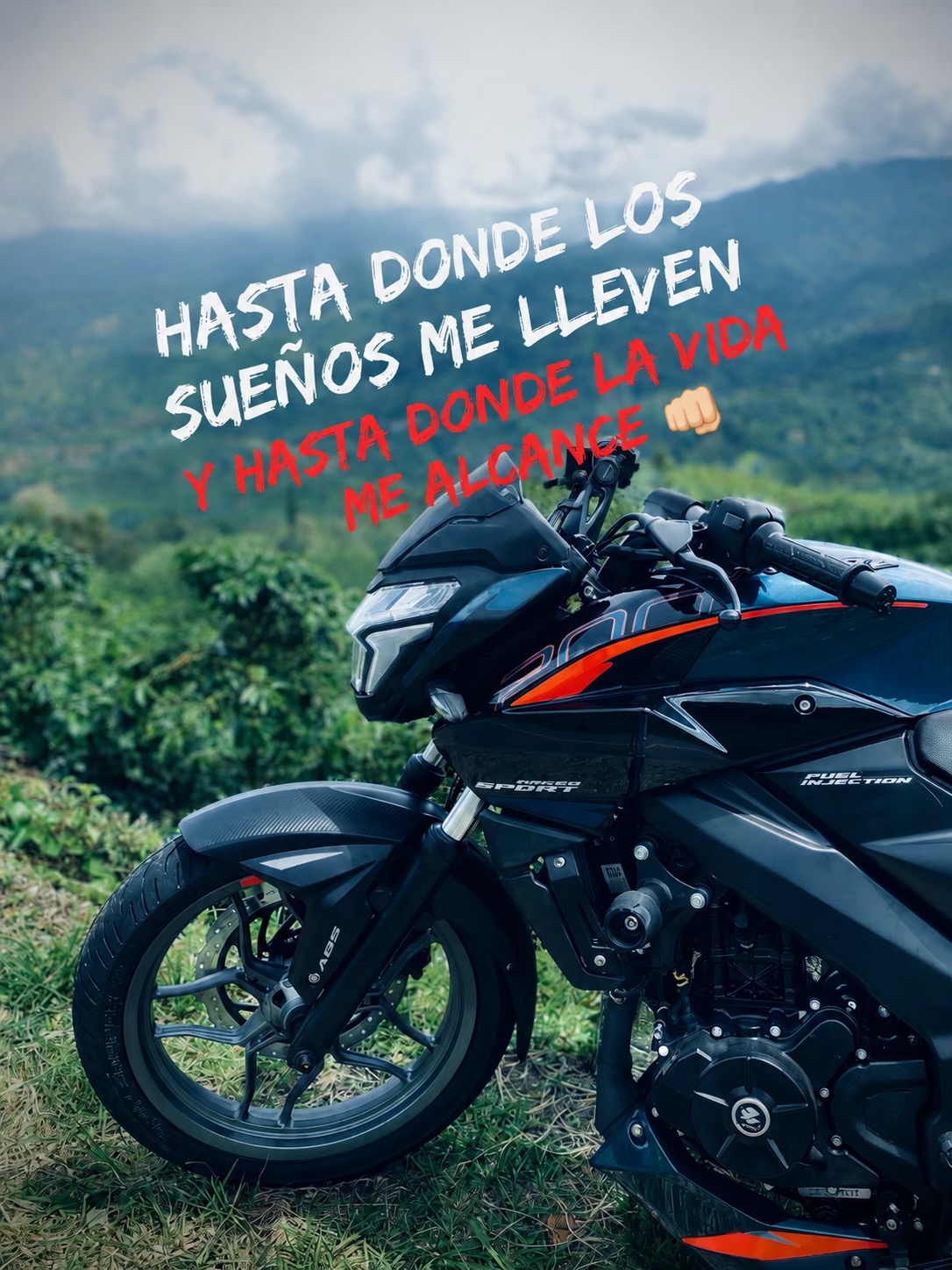 @GUTIÉRREZ_🔞