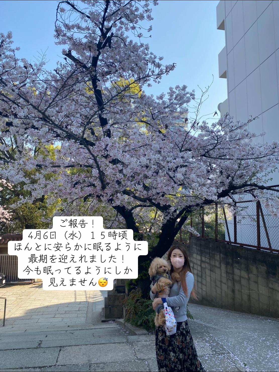 @ðð¥maimai0627ð¥ð
