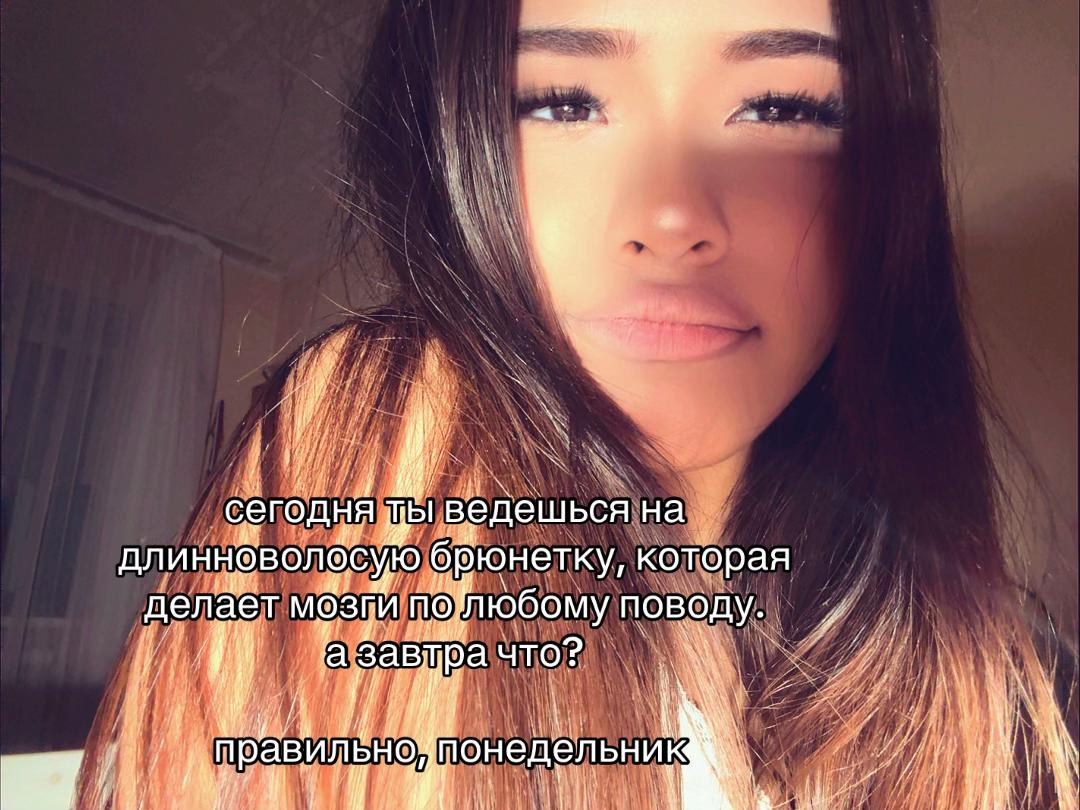 @dinacamon