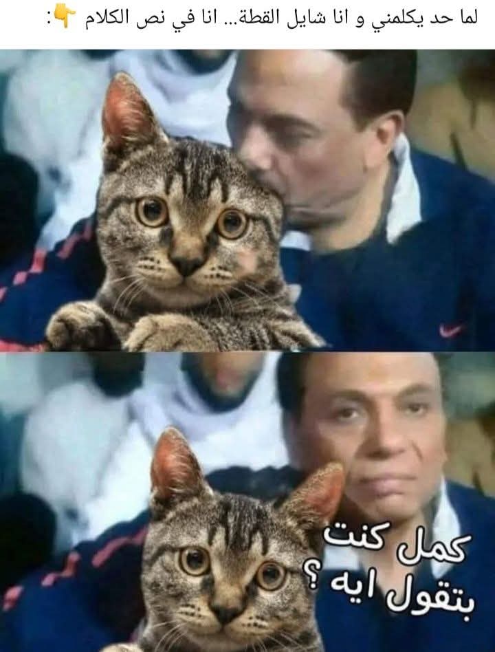 @Willer Willer