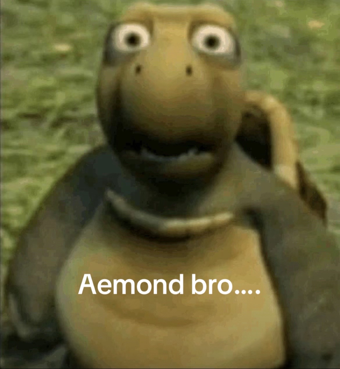 @Persephxne