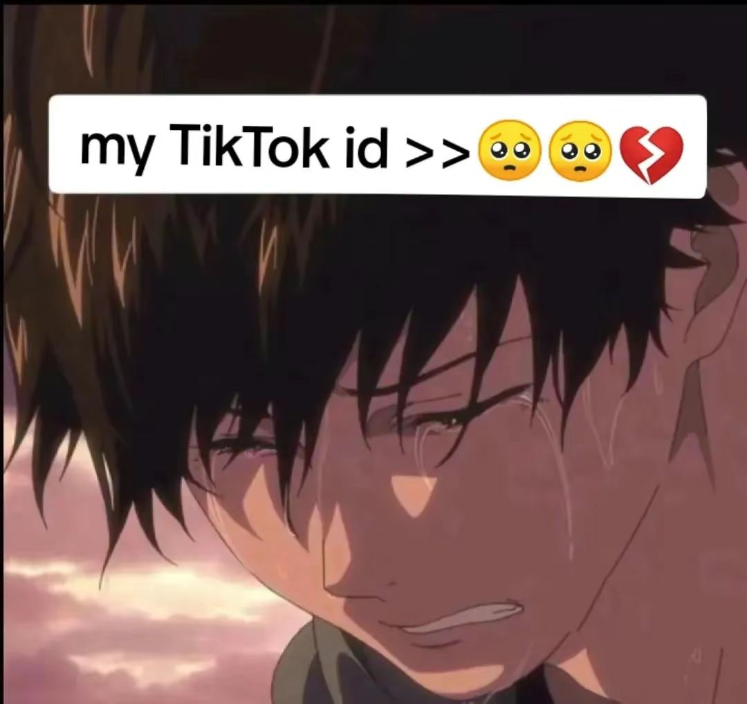 @TDM BOT
