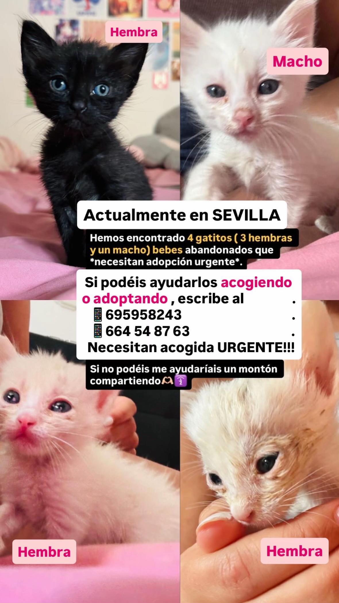 @Karlaart_