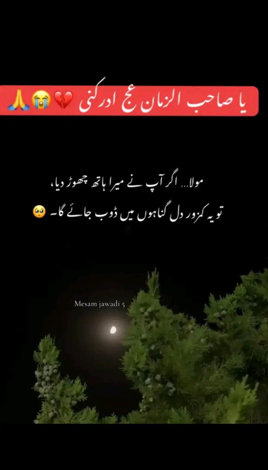 @NOKR 🙏5❤️12 DA