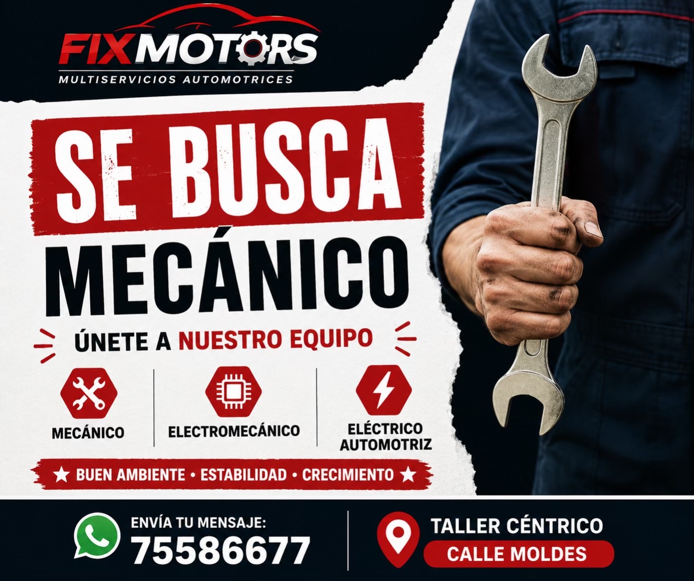 @HECTOR PELLEGRINI - FIXMOTORS
