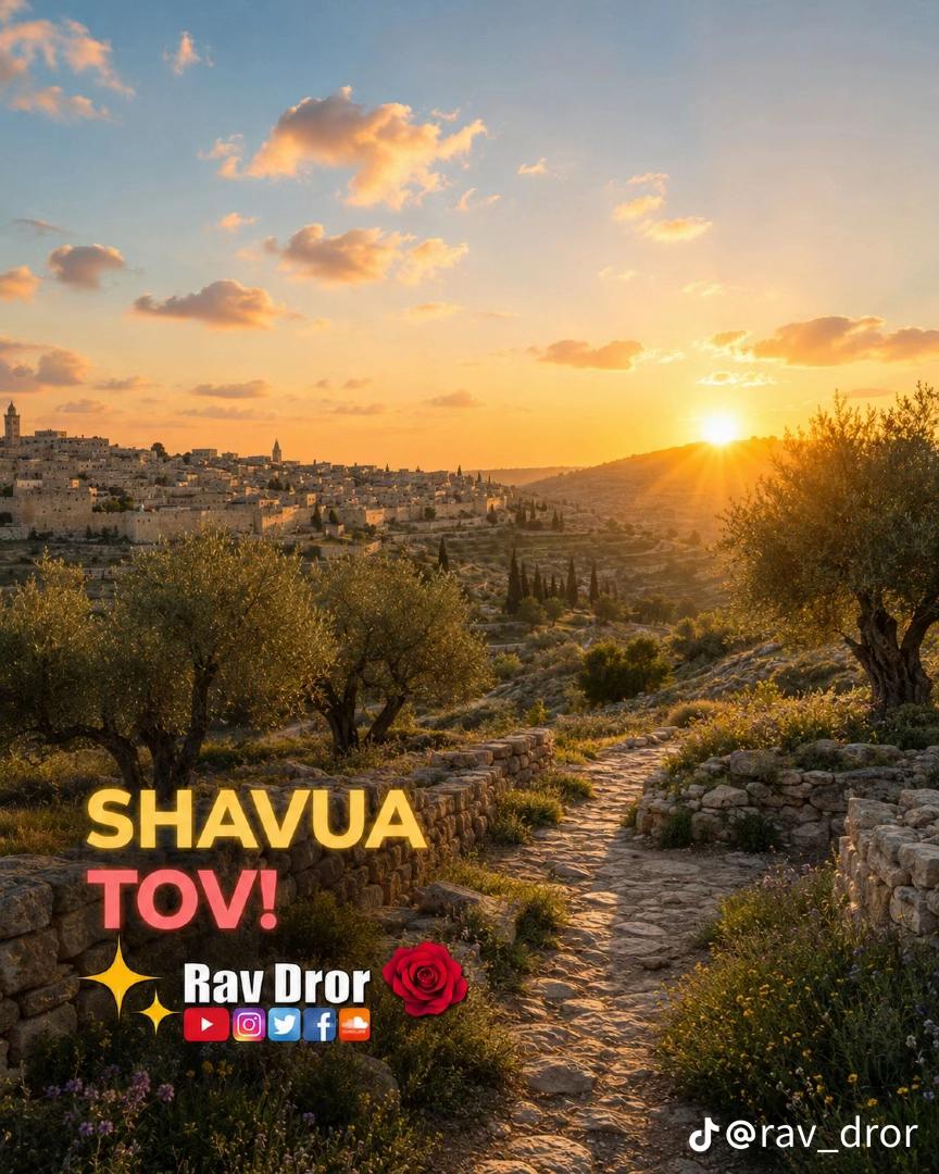 @Rav Dror