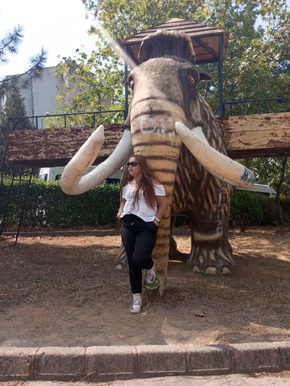 @Aysel Toktay