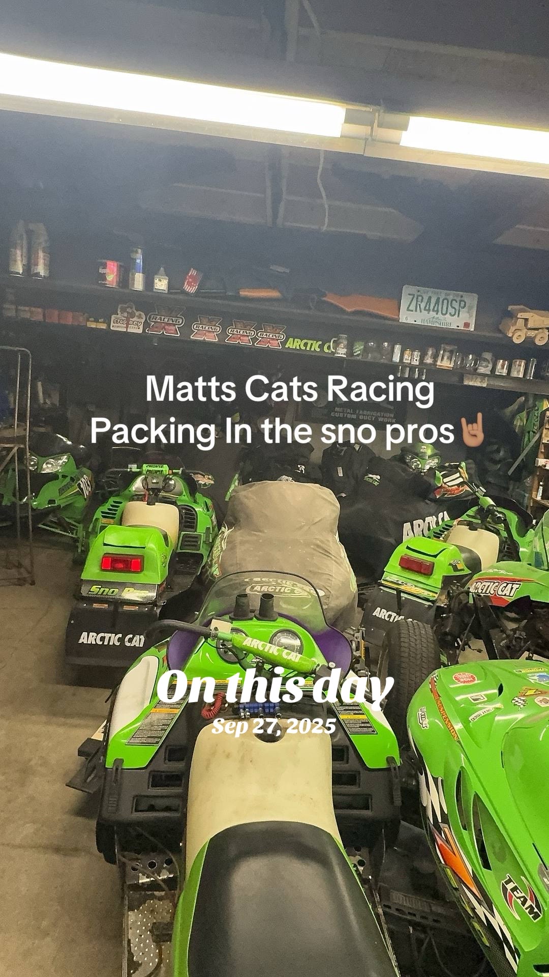 @Arcticcatmatt