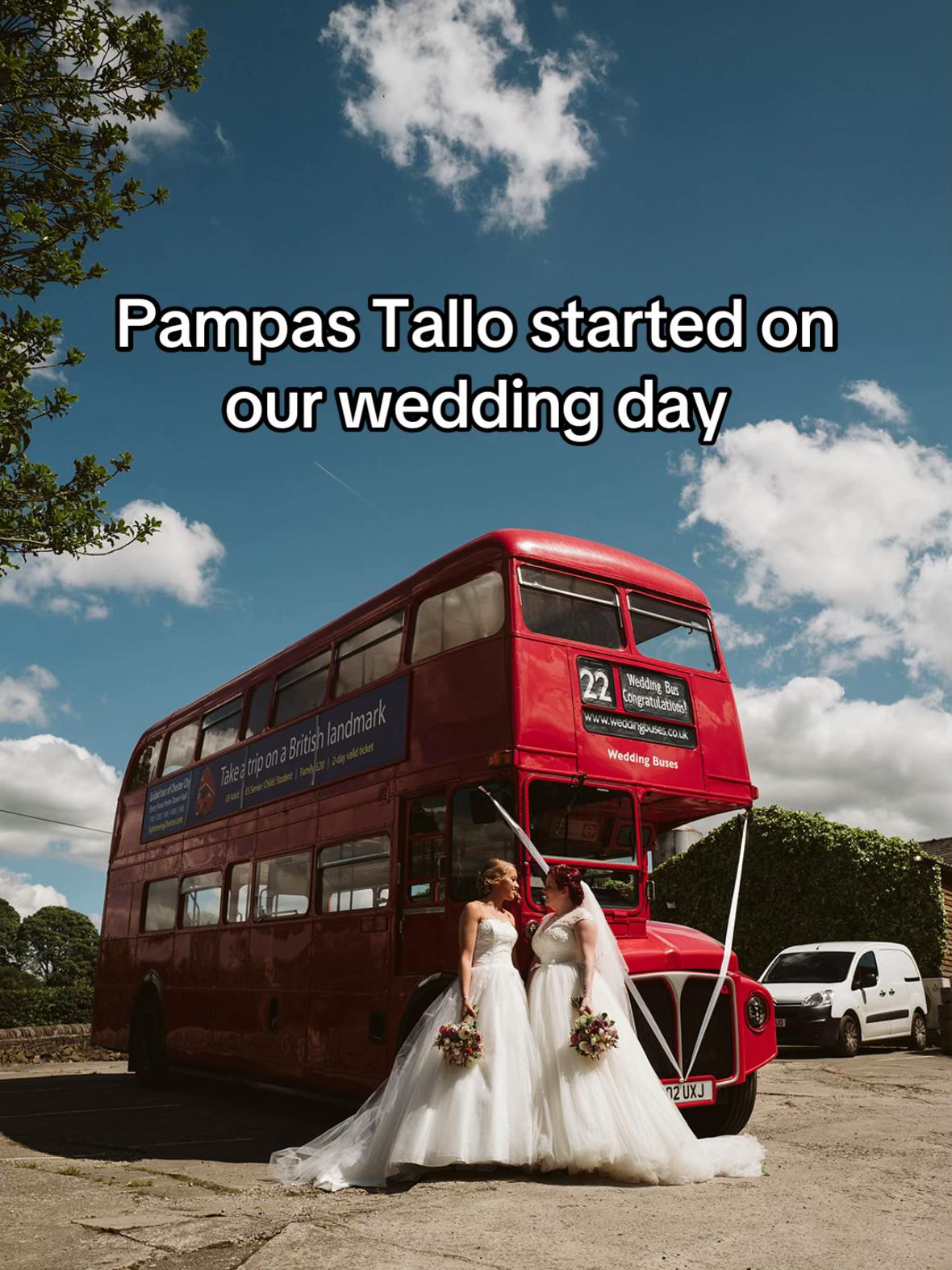 @Pampas Tallo