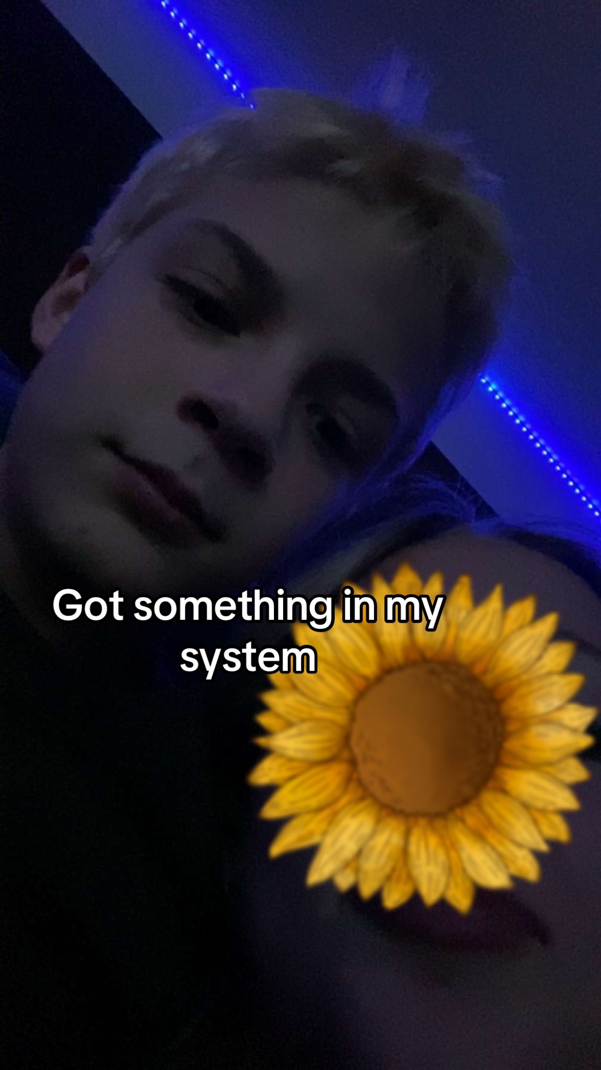 @Levi 🦉