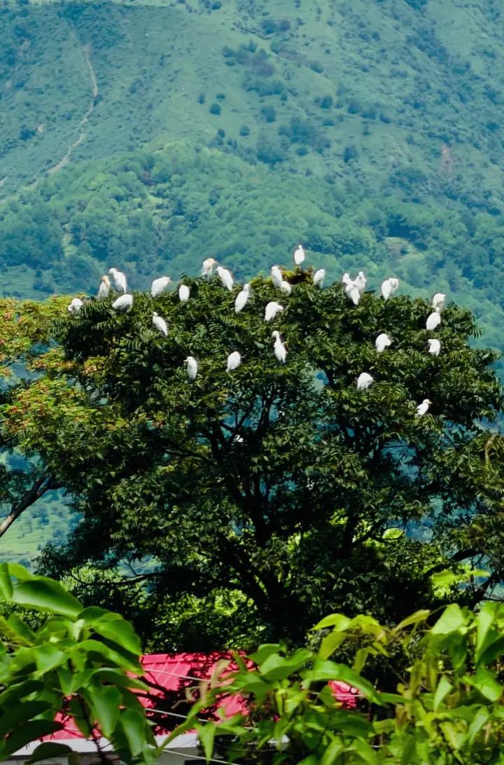 @PAVITHRAN