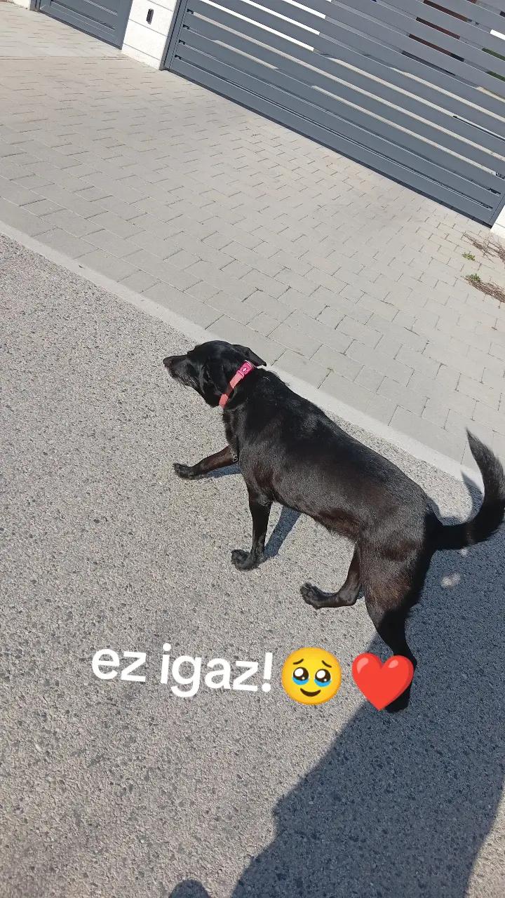 @csak.egy.boldog lány❤️🔥❤️🔐