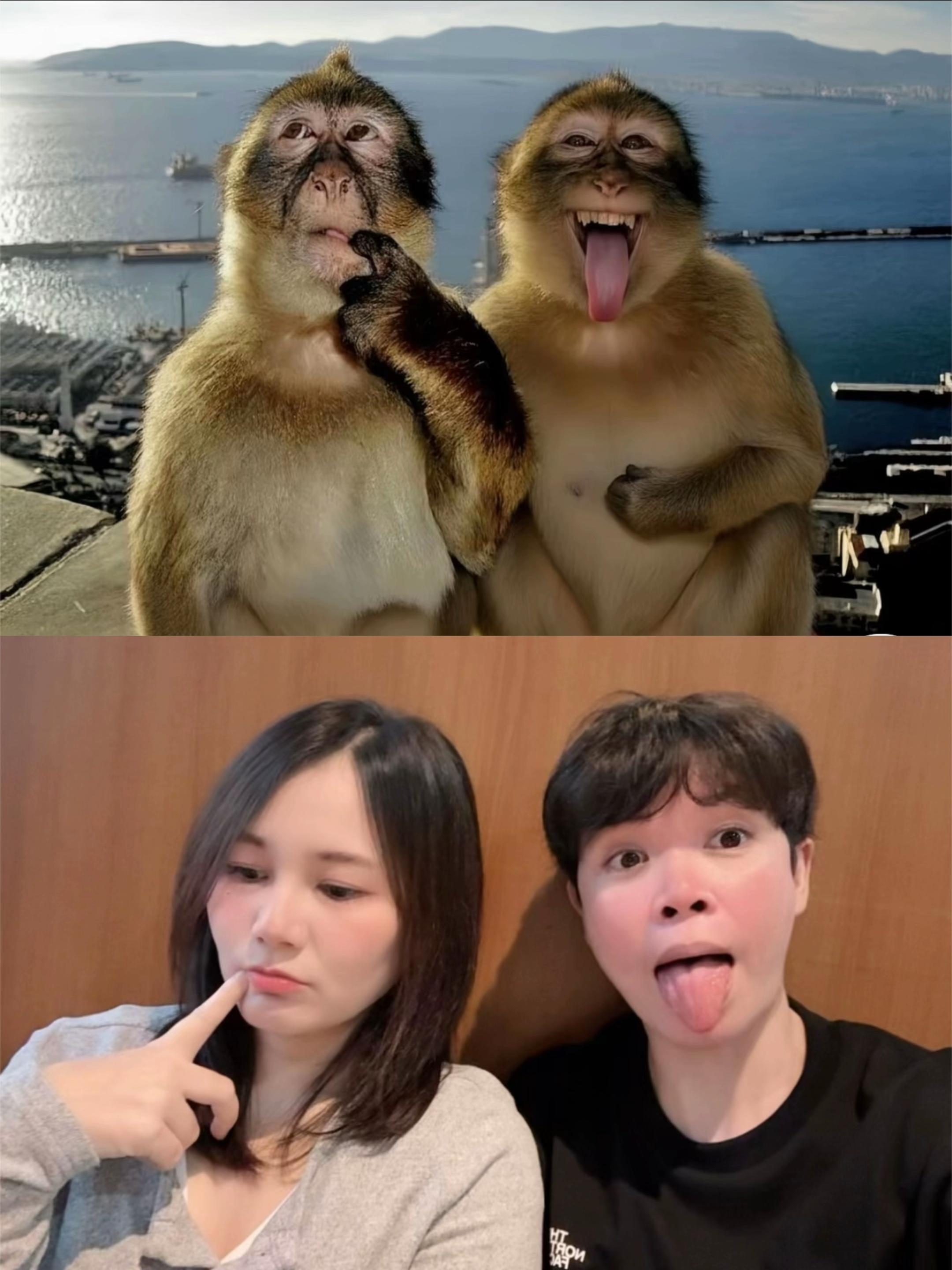 @mcmxciii_xix🪼🐾