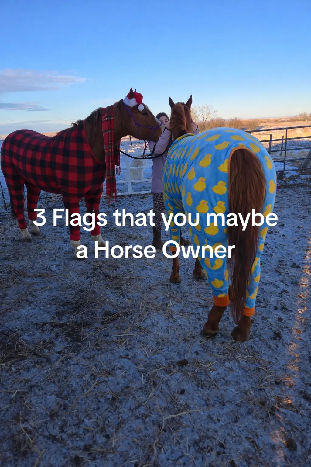 @Barrel Racing Journey