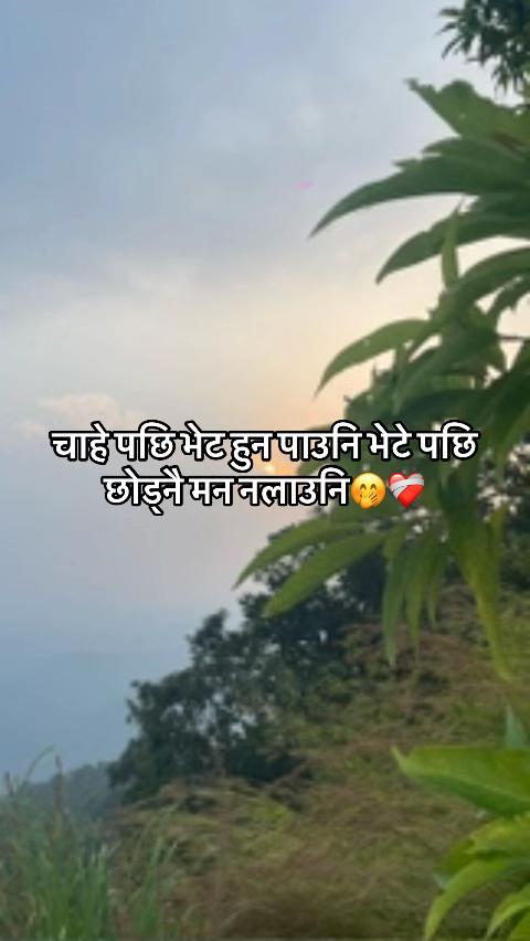 @Uneesh Poon Magar✅
