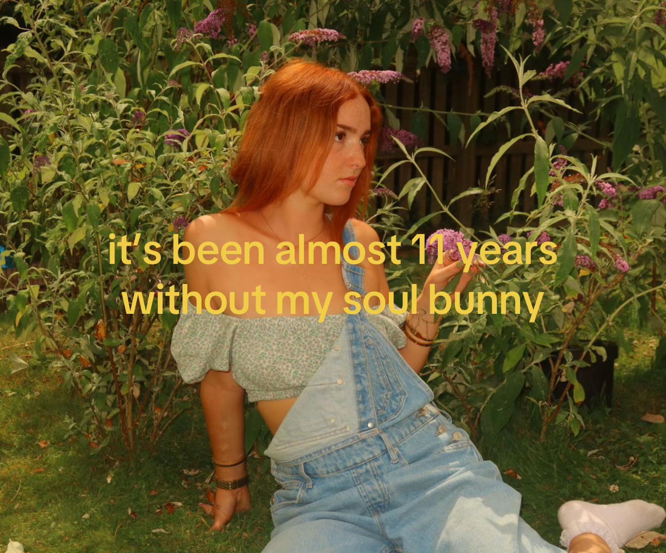 @Dev 🌷