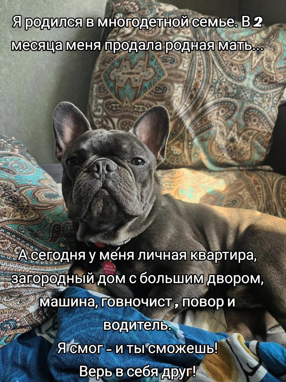 @Надежда Павловна
