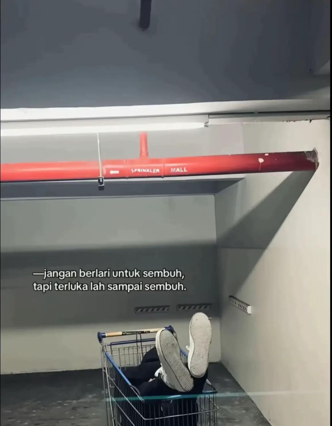 @🕊️⃝𝐀͟͟ɴ͟ᴊ፝֟፝֟͟͠ᴀ͟ɴ͟ɪ°𝜗𝜚˚