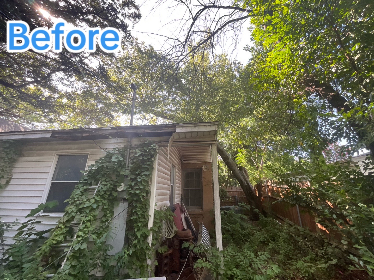 @Live Oak Tree Service