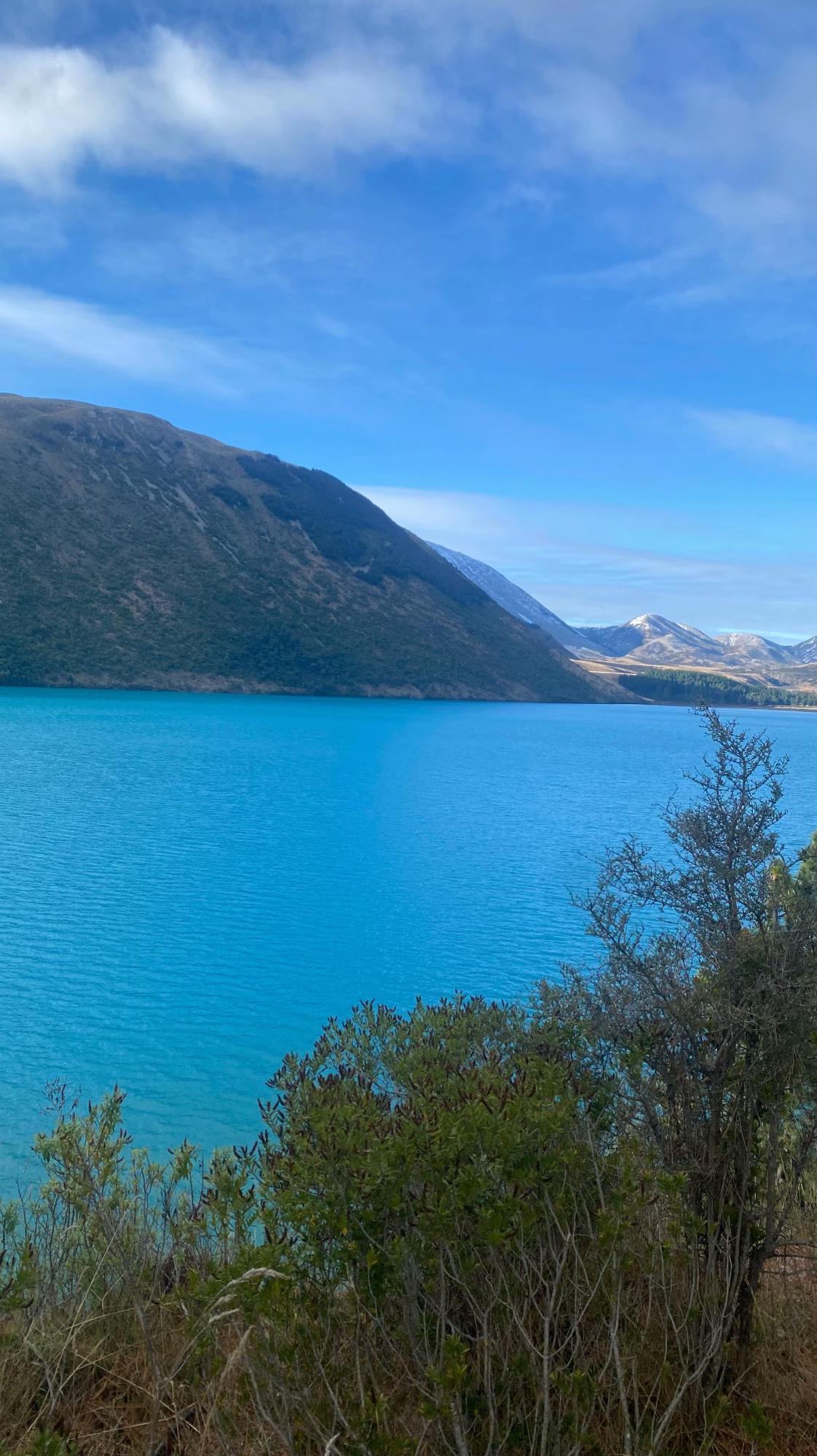 @imfullmontys🇳🇿