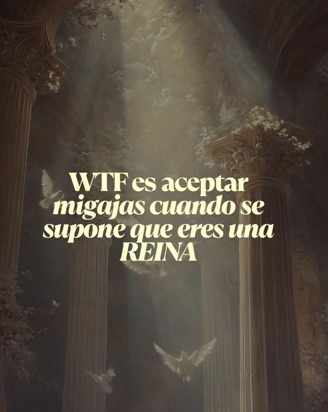 @reinasconscientes