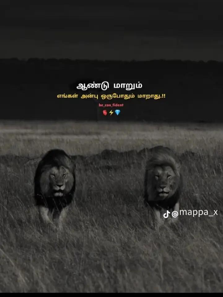 @𝒯ℳ_𝓂𝒶𝓉𝒽𝓊🐼🍷🤍