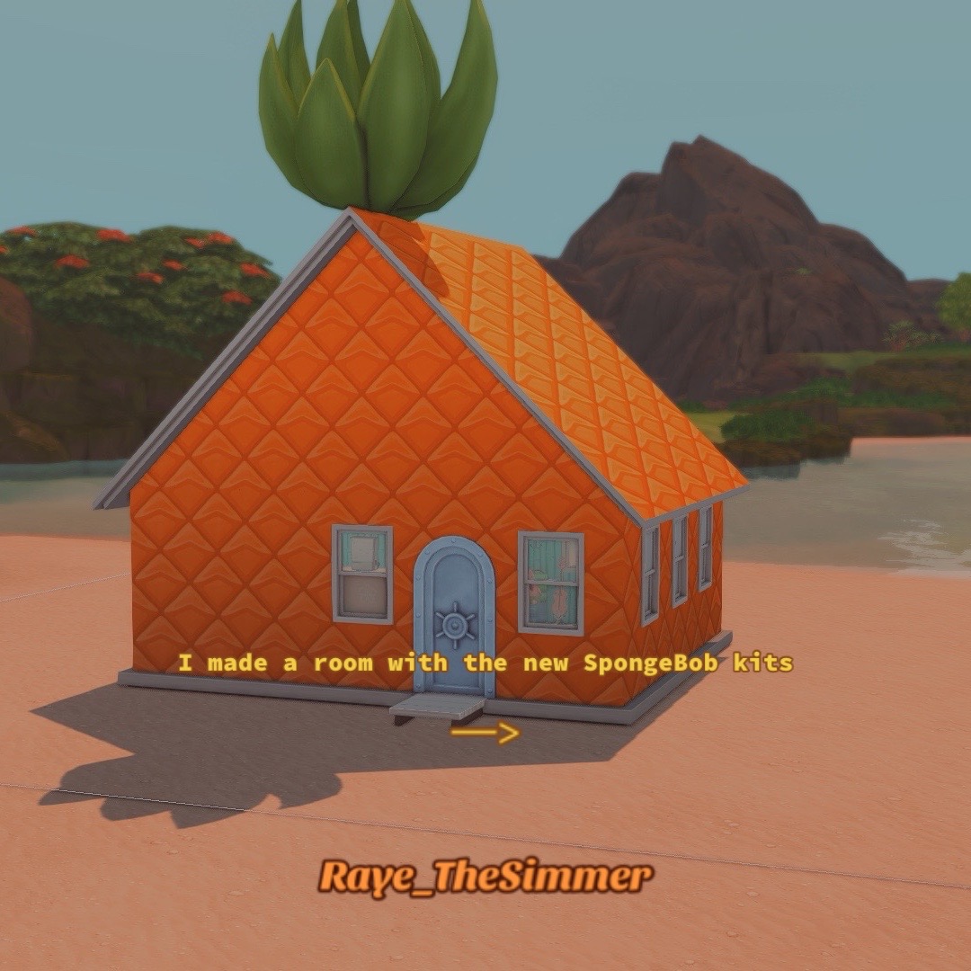 @Raye_thesimmer