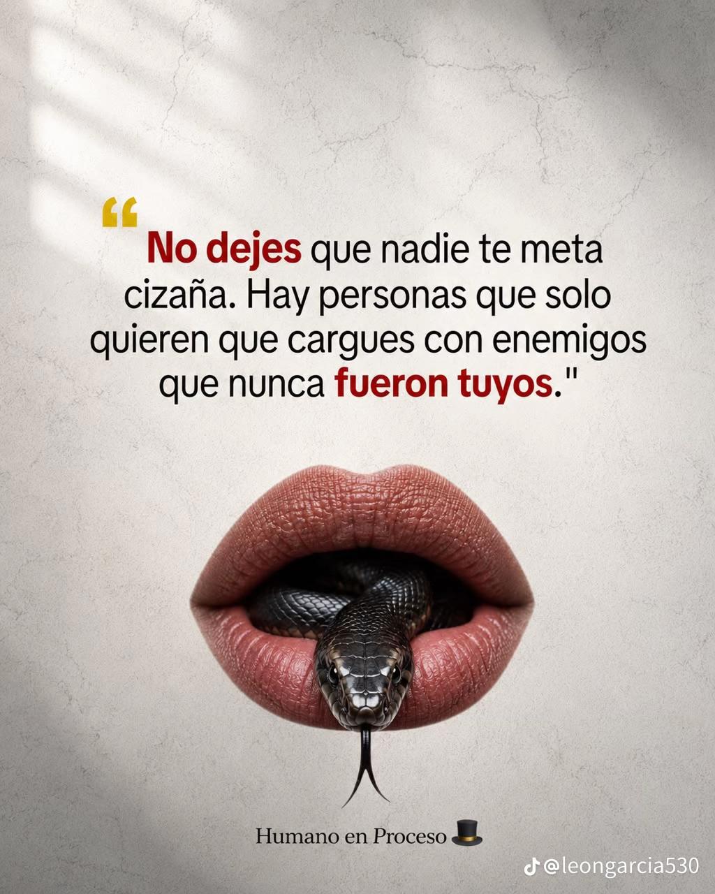 @vanessa 🌵🌻🍃
