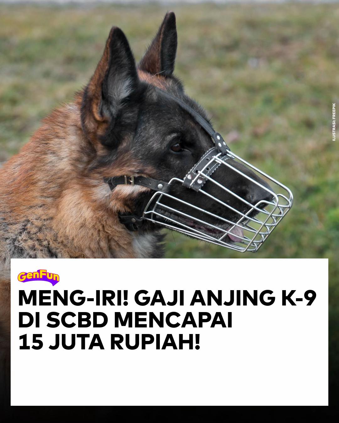 @GenFun