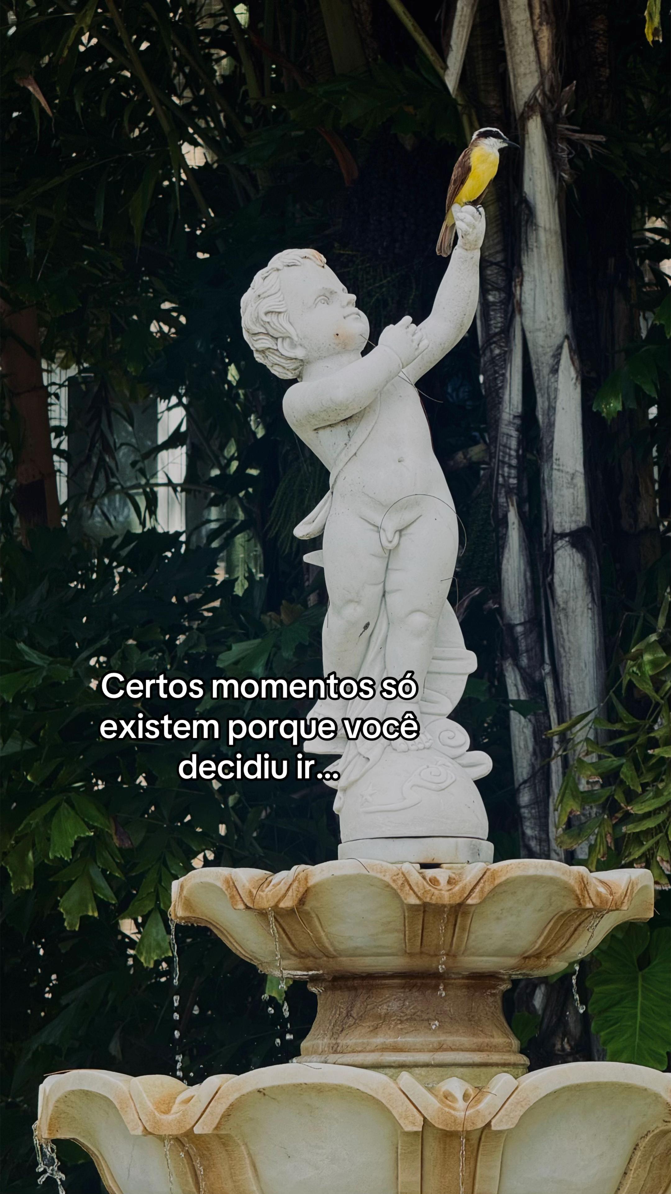 @Luiz Henrique