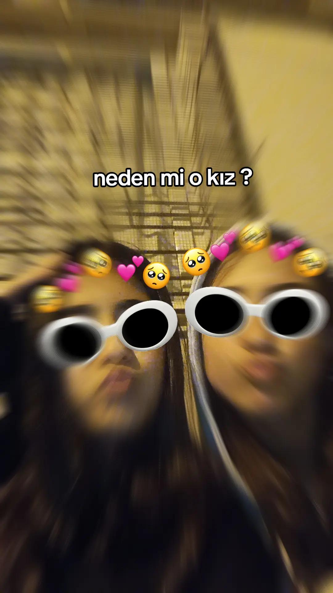 @🦭