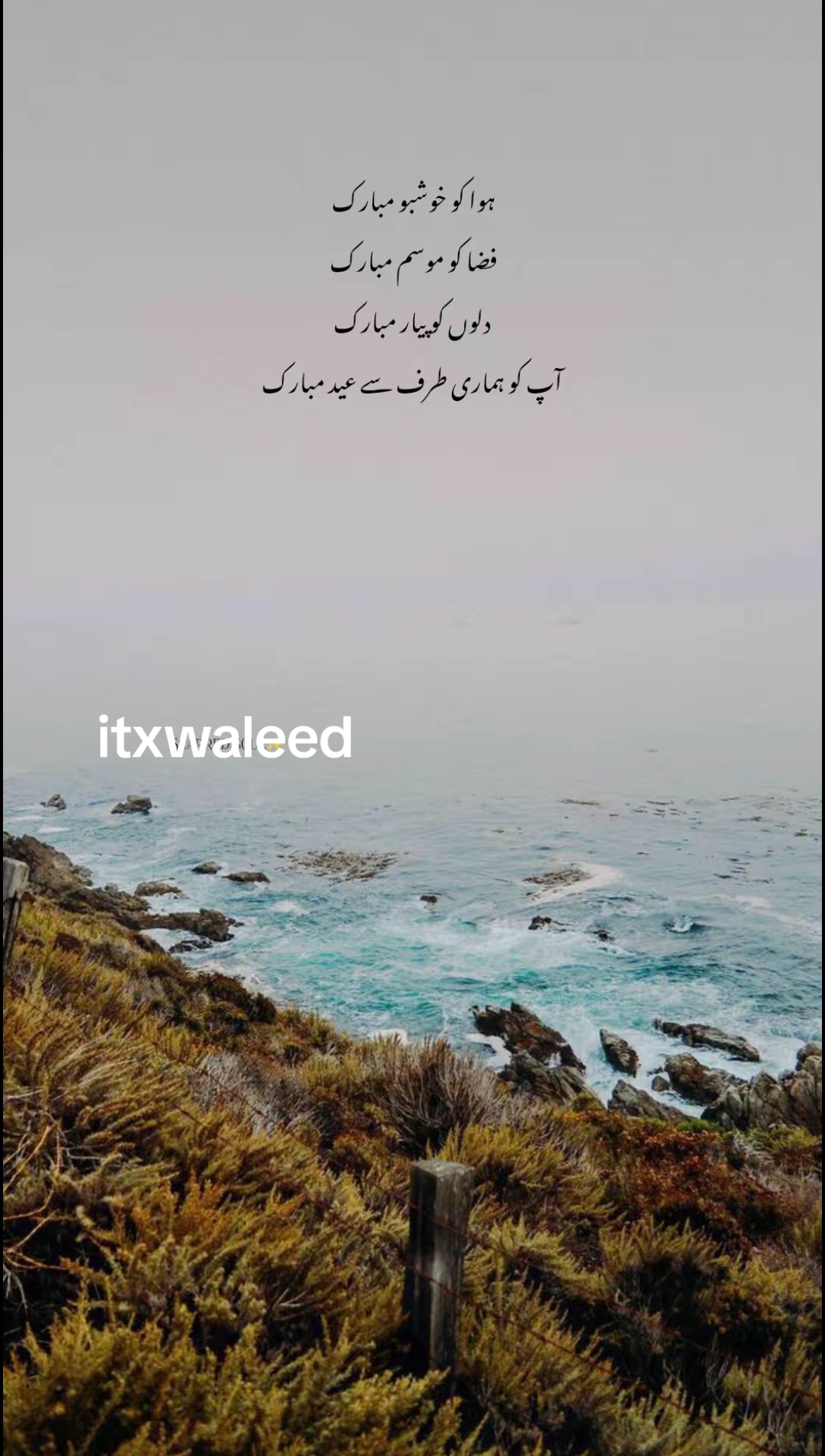 @Waleed Arshad