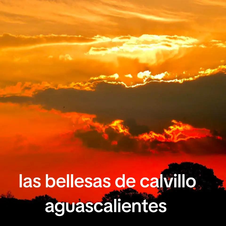 @elplebehuerta